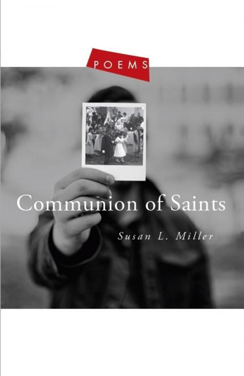 Cover of the book Communion of Saints by Susan L Miller, Paraclete Press