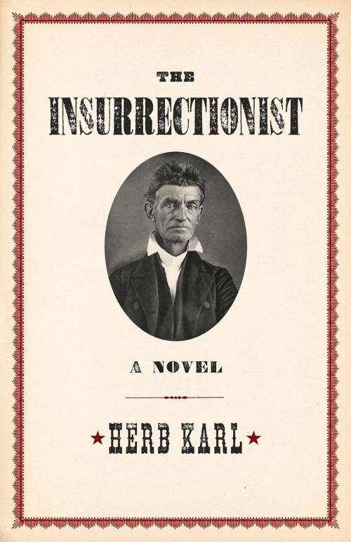 Cover of the book Insurrectionist by Herb Karl, Chicago Review Press