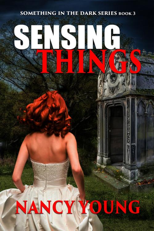 Cover of the book Sensing Things by Nancy Young, World Castle Publishing, LLC