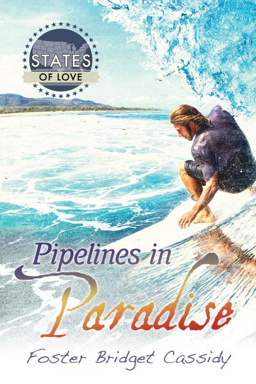 Cover of the book Pipelines in Paradise by Foster Bridget Cassidy, Dreamspinner Press