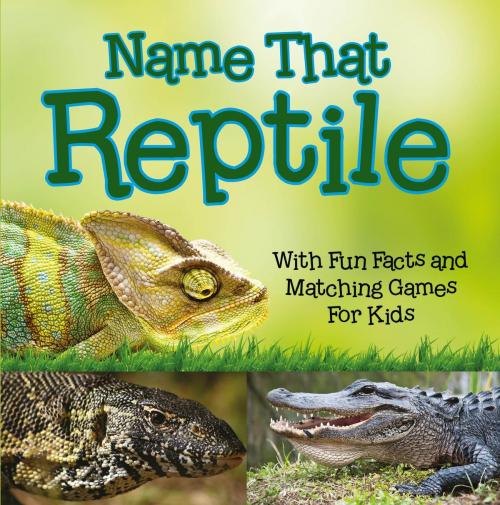 Cover of the book Name That Reptile: With Fun Facts and Matching Games For Kids by Baby Professor, Speedy Publishing LLC