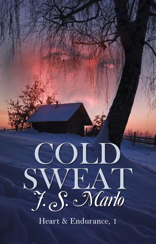 Cover of the book Cold Sweat by J. S. Marlo, Champagne Book Group