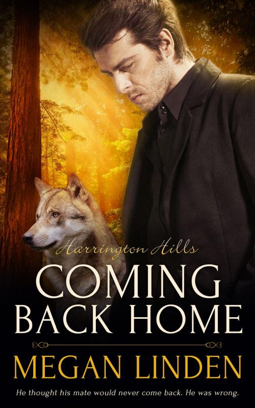 Cover of the book Coming Back Home by Megan Linden, Totally Entwined Group Ltd