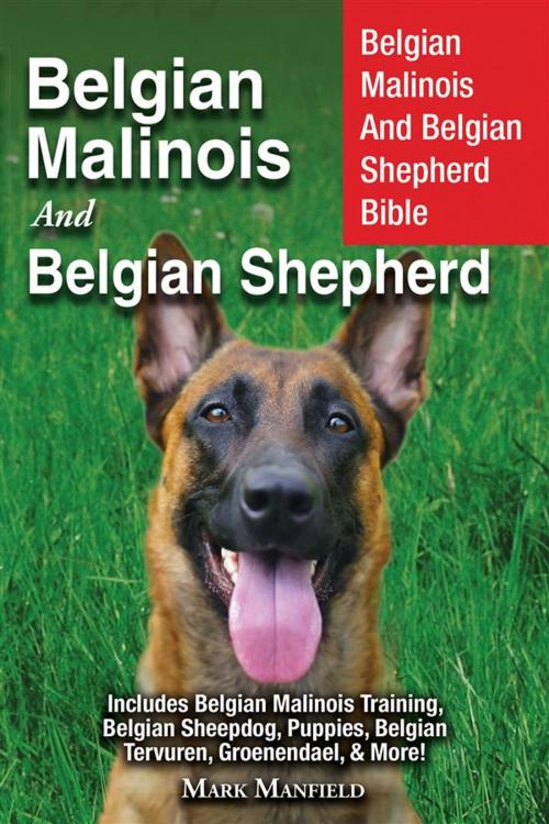 Cover of the book Belgian Malinois and Belgian Shepherd by Mark Manfield, DYM Worldwide Publishers