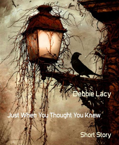 Cover of the book Just When You Thought You Knew by Debbie Lacy, BookRix