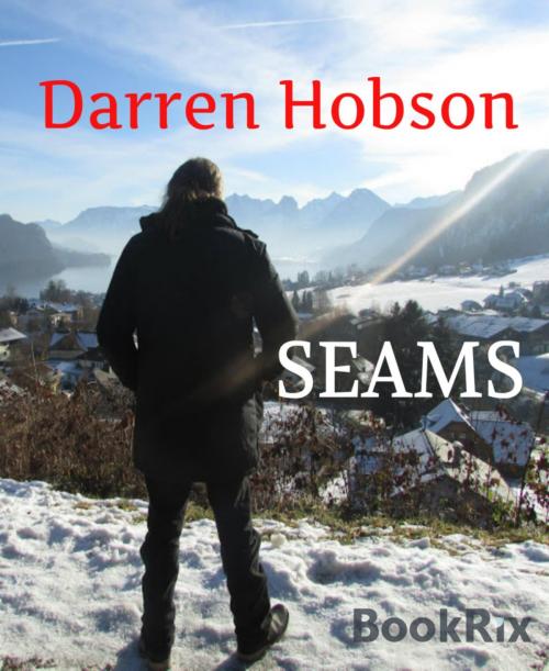 Cover of the book Seams by Darren Hobson, BookRix