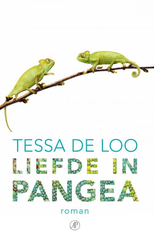 Cover of the book Liefde in Pangea by Tessa de Loo, Singel Uitgeverijen