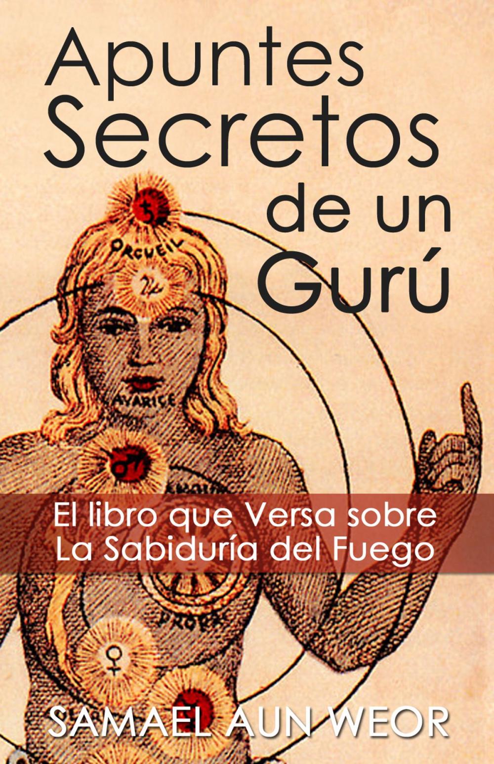 Big bigCover of APUNTES SECRETOS DE UN GURU