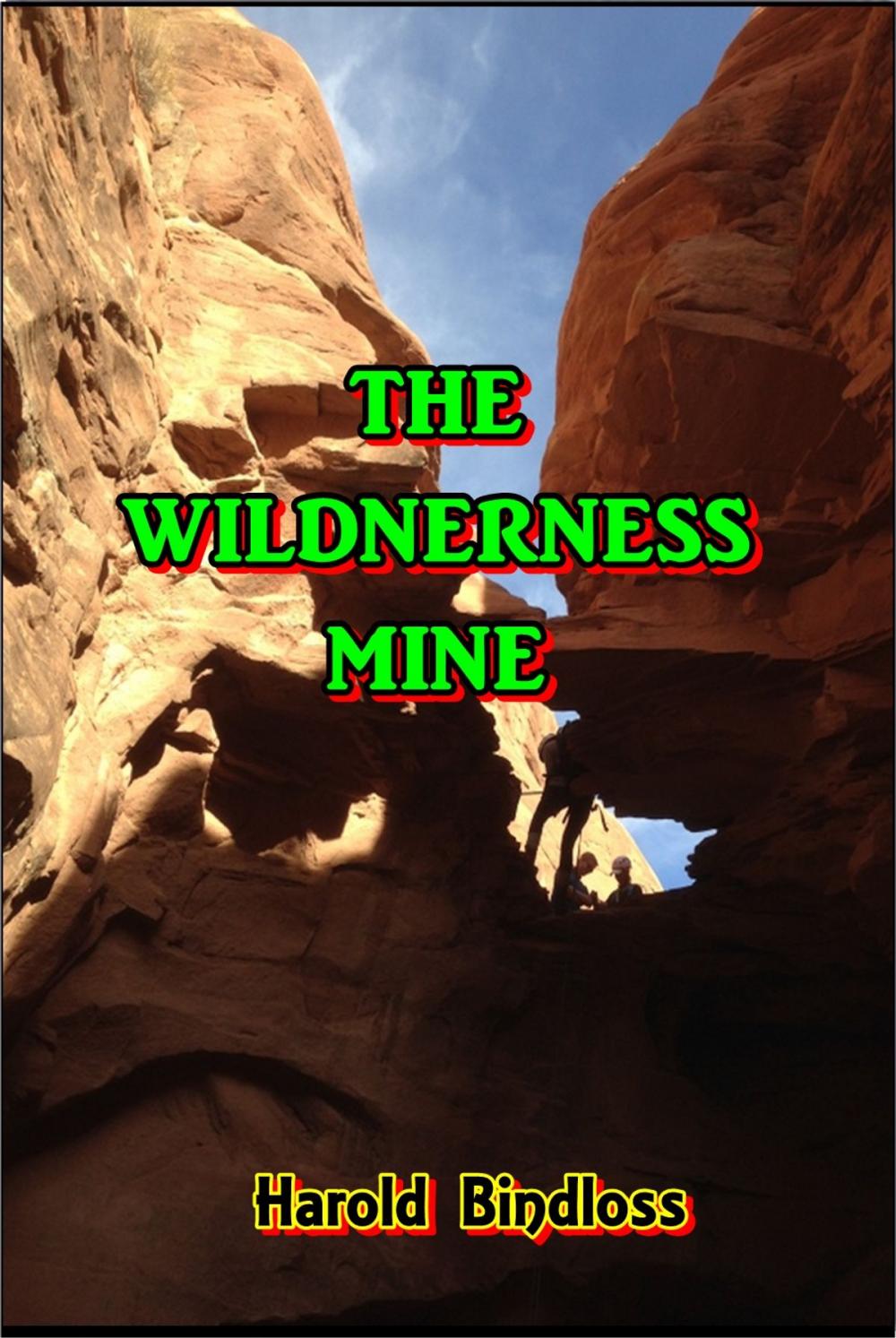 Big bigCover of The Wilderness Mine