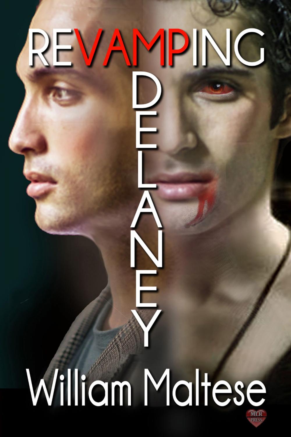 Big bigCover of Revamping Delaney