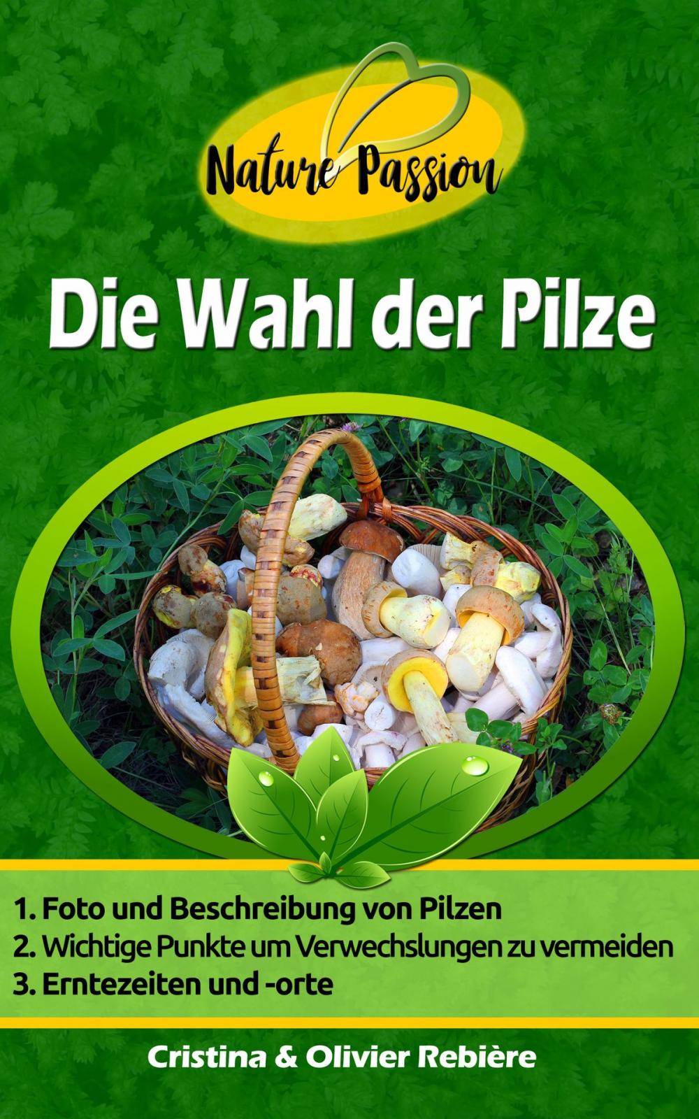 Big bigCover of Die Wahl der Pilze