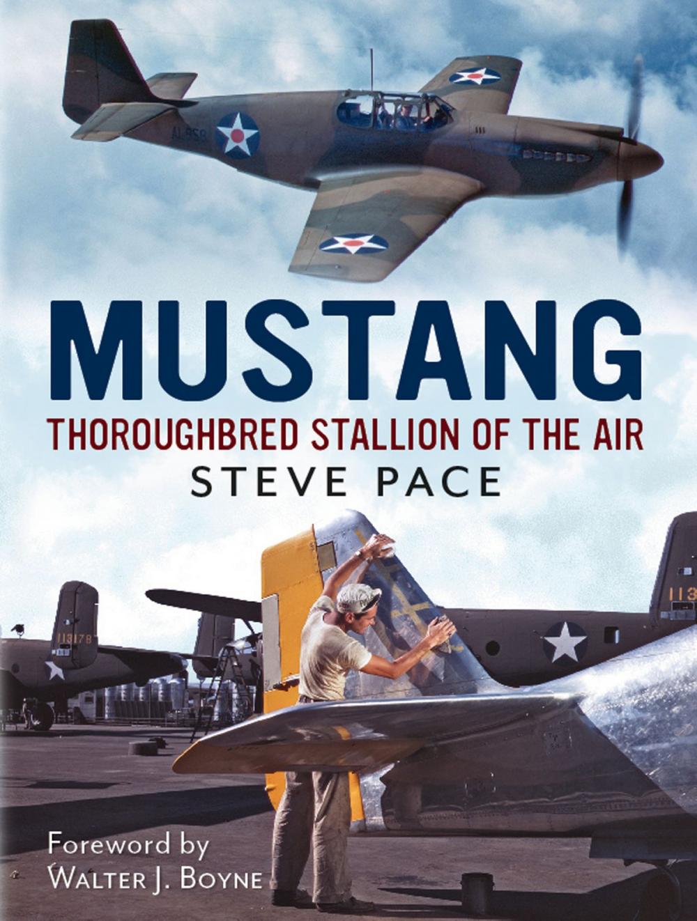 Big bigCover of Mustang