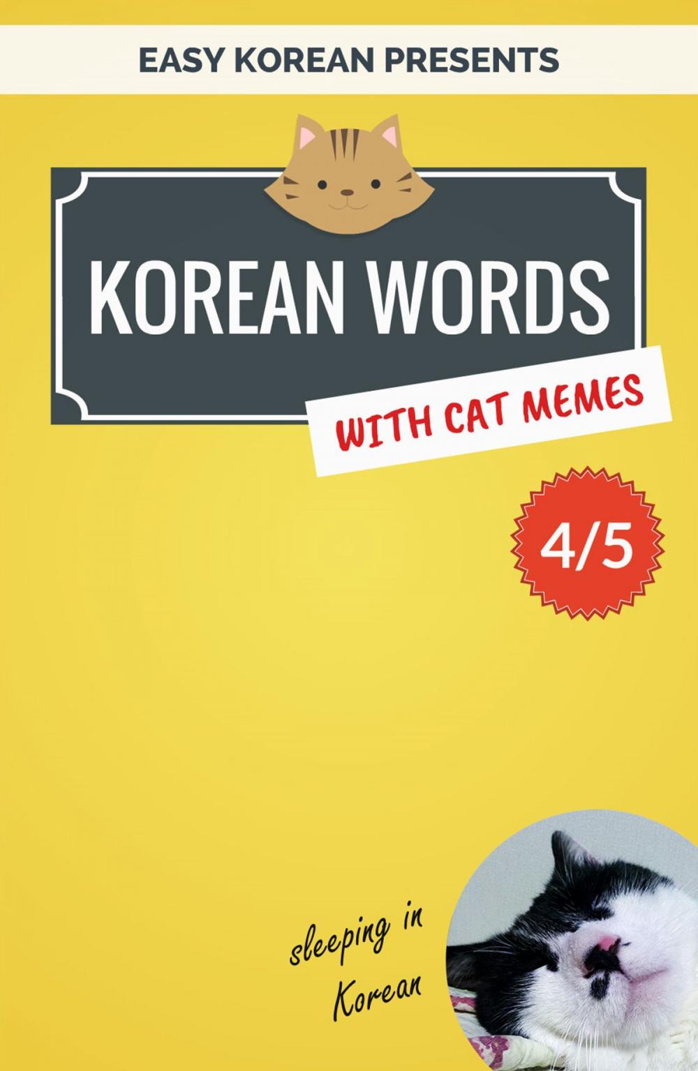 Big bigCover of Korean Words with Cat Memes 4/5