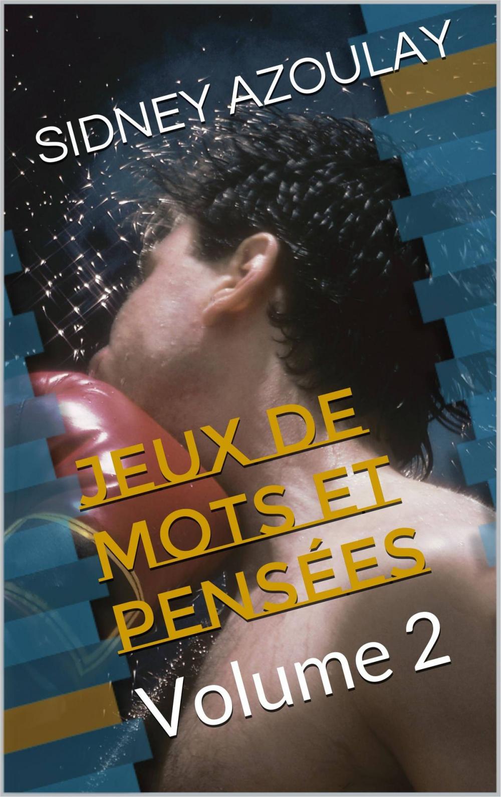 Big bigCover of JEUX DE MOTS ET PENSÉES