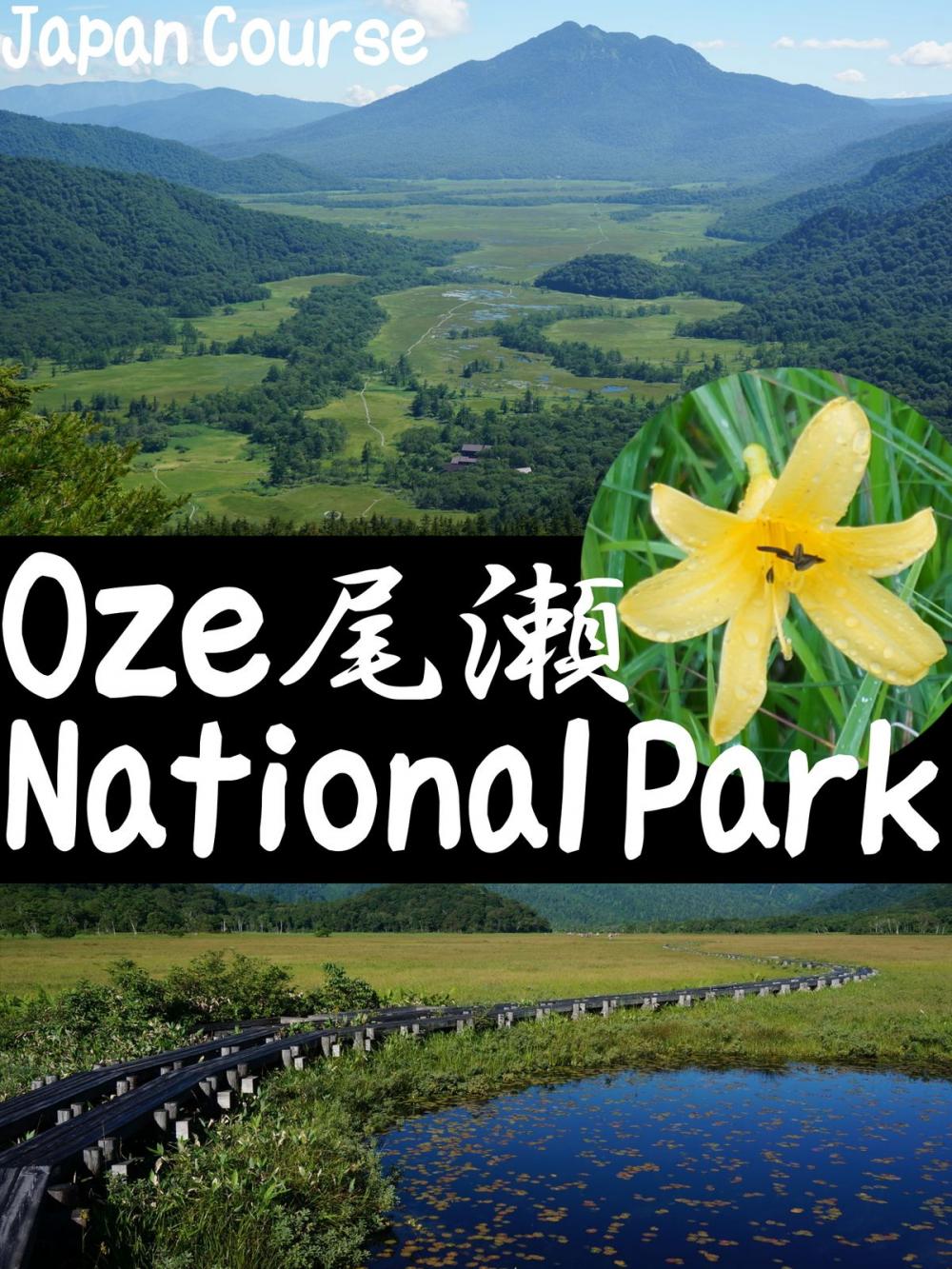 Big bigCover of Oze National Park