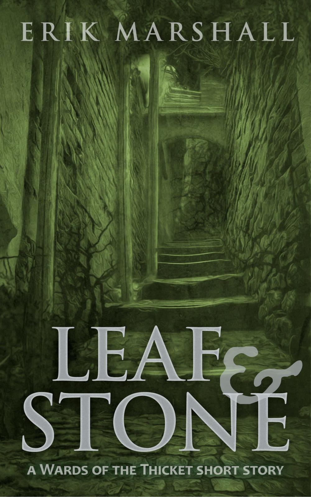 Big bigCover of Leaf and Stone