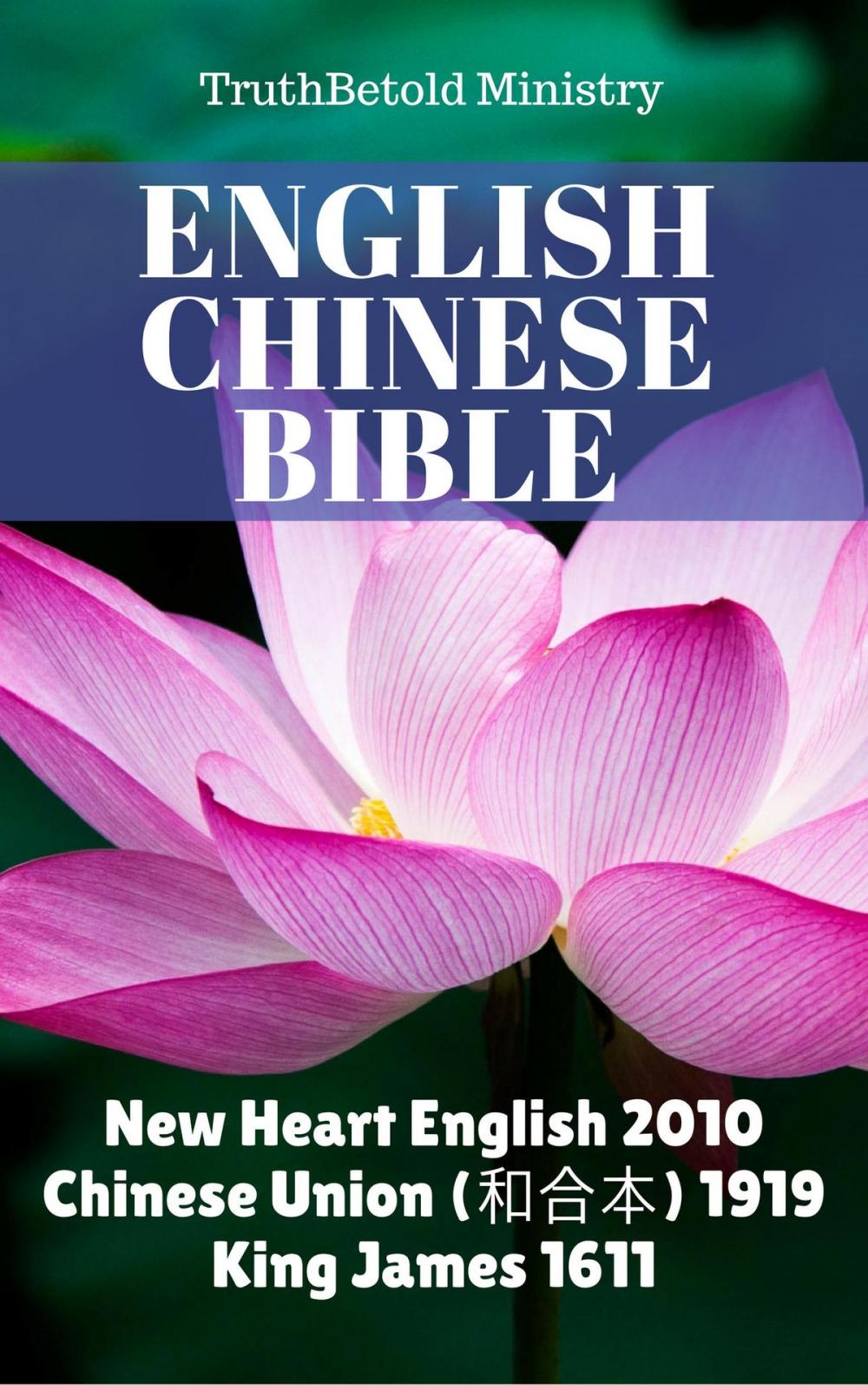 Big bigCover of English Chinese Bible