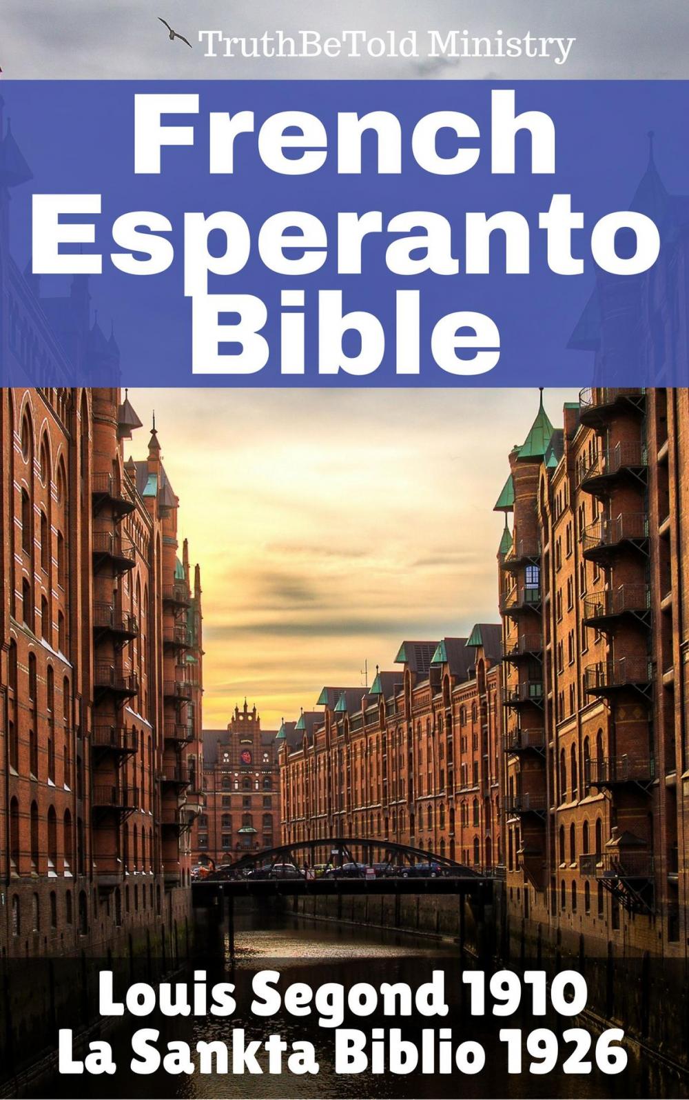 Big bigCover of Français Esperanto Bible