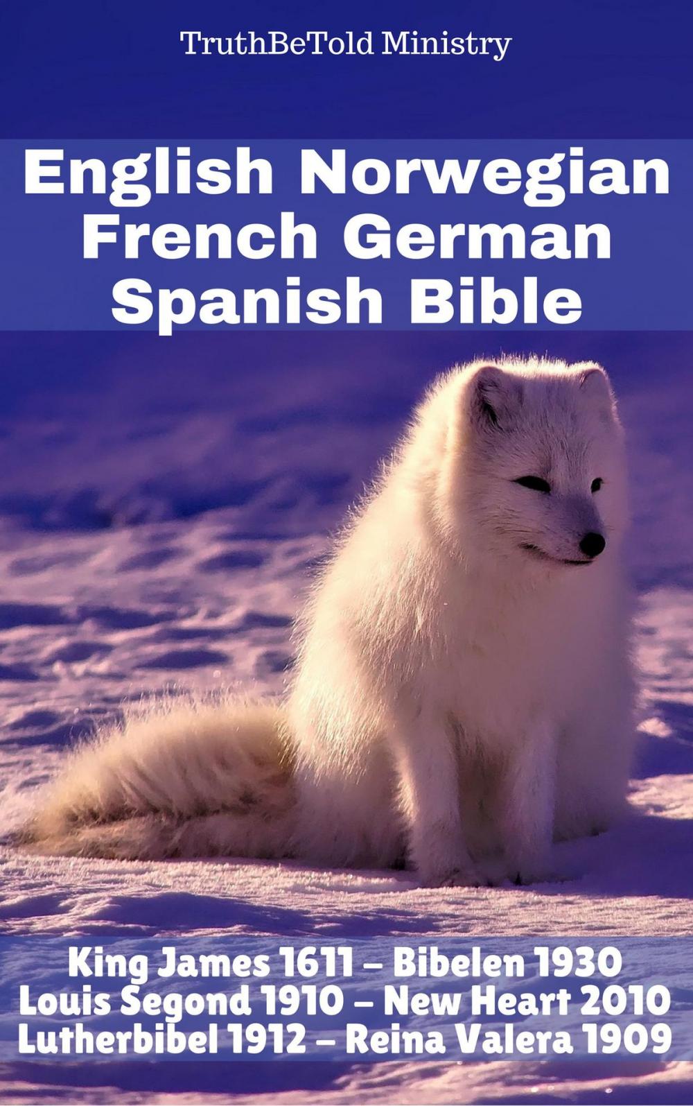 Big bigCover of English Norwegian French German Spanish Bible