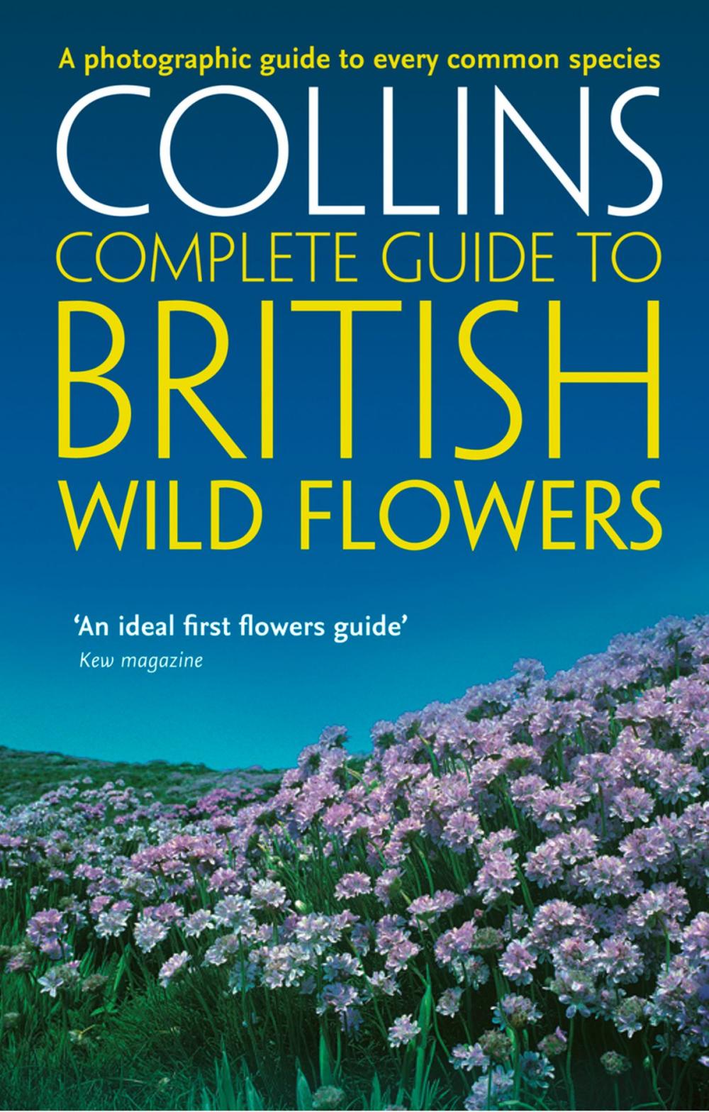 Big bigCover of British Wild Flowers: A photographic guide to every common species (Collins Complete Guide)