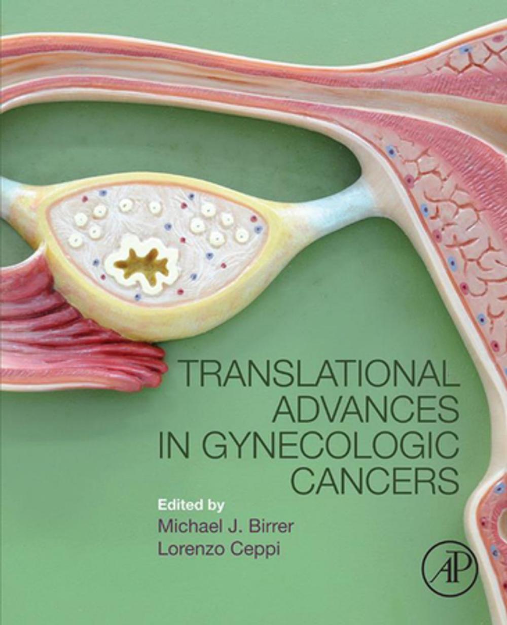 Big bigCover of Translational Advances in Gynecologic Cancers