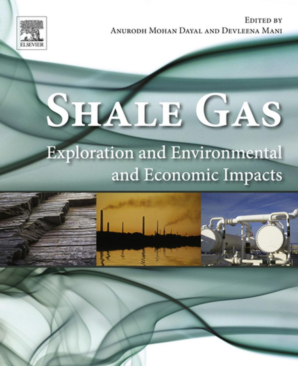 Big bigCover of Shale Gas