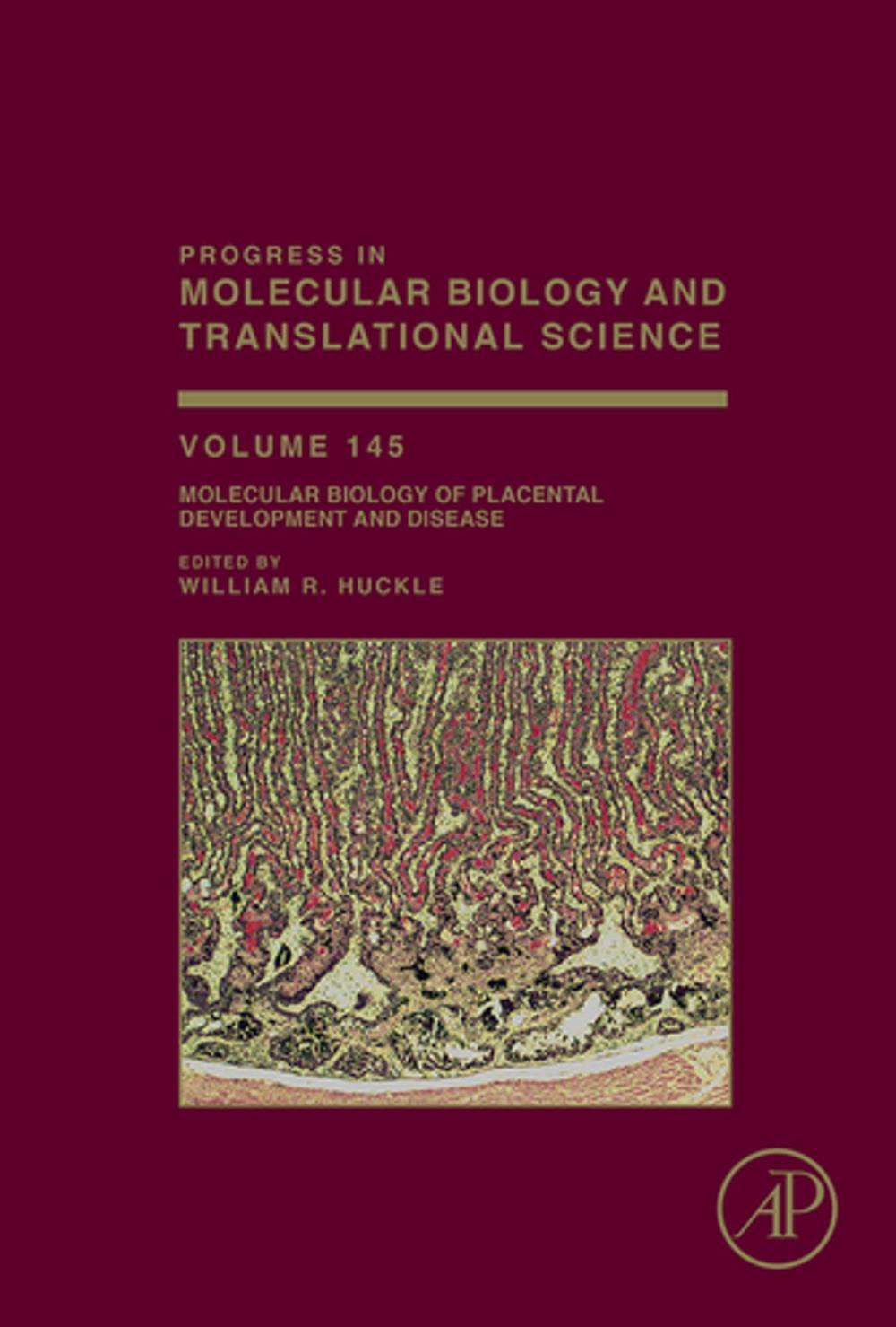 Big bigCover of Molecular Biology of Placental Development and Disease