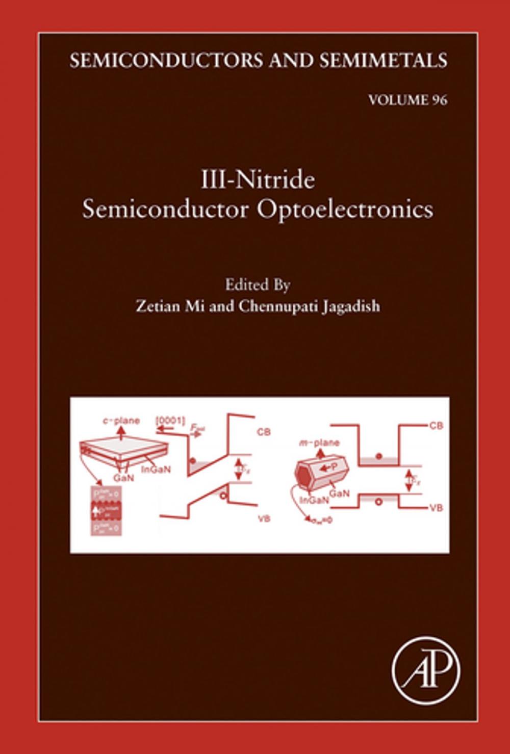 Big bigCover of III-Nitride Semiconductor Optoelectronics