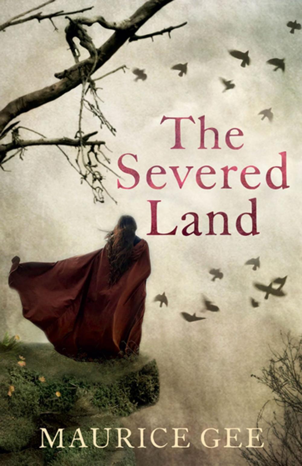 Big bigCover of The Severed Land