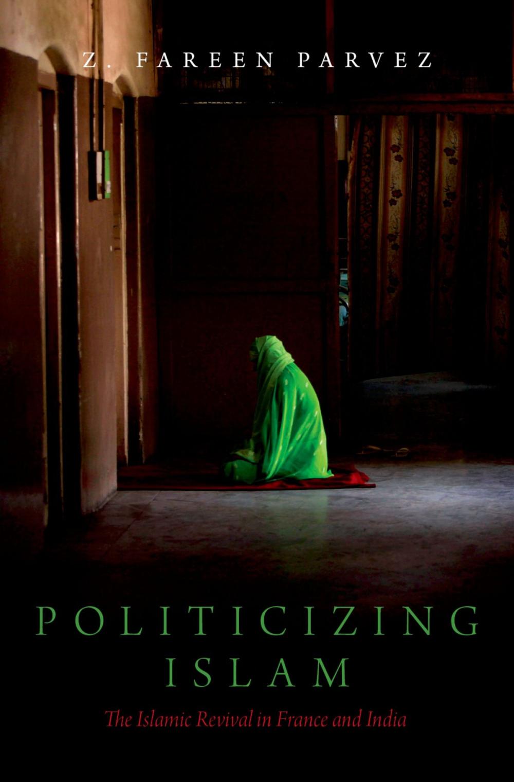 Big bigCover of Politicizing Islam