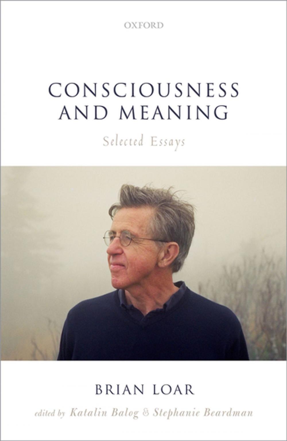 Big bigCover of Consciousness and Meaning