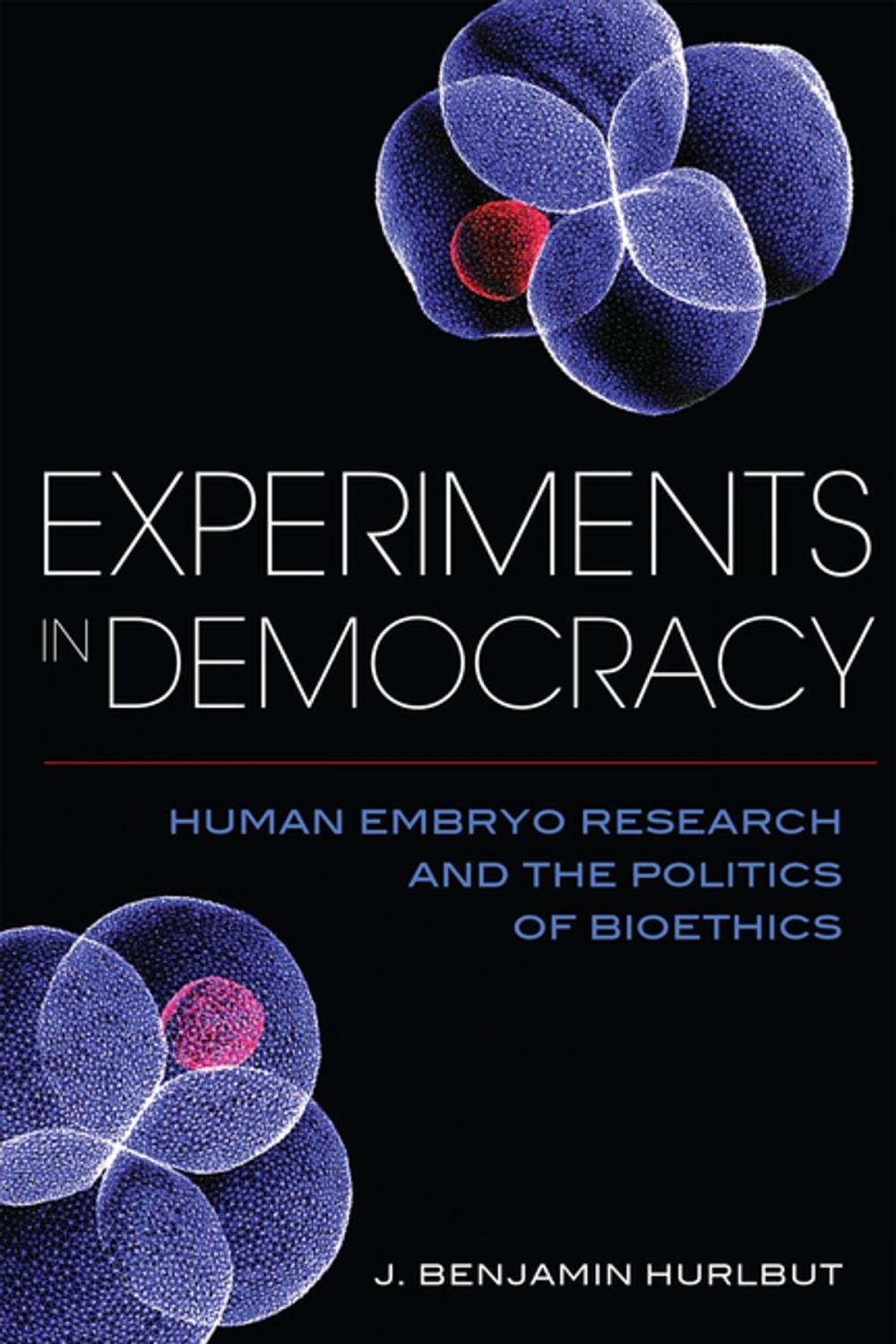 Big bigCover of Experiments in Democracy