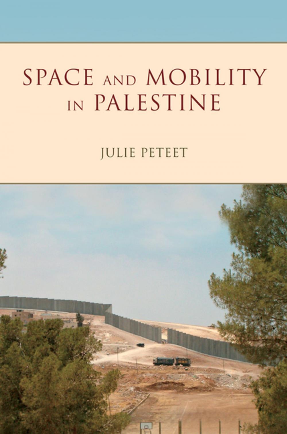 Big bigCover of Space and Mobility in Palestine