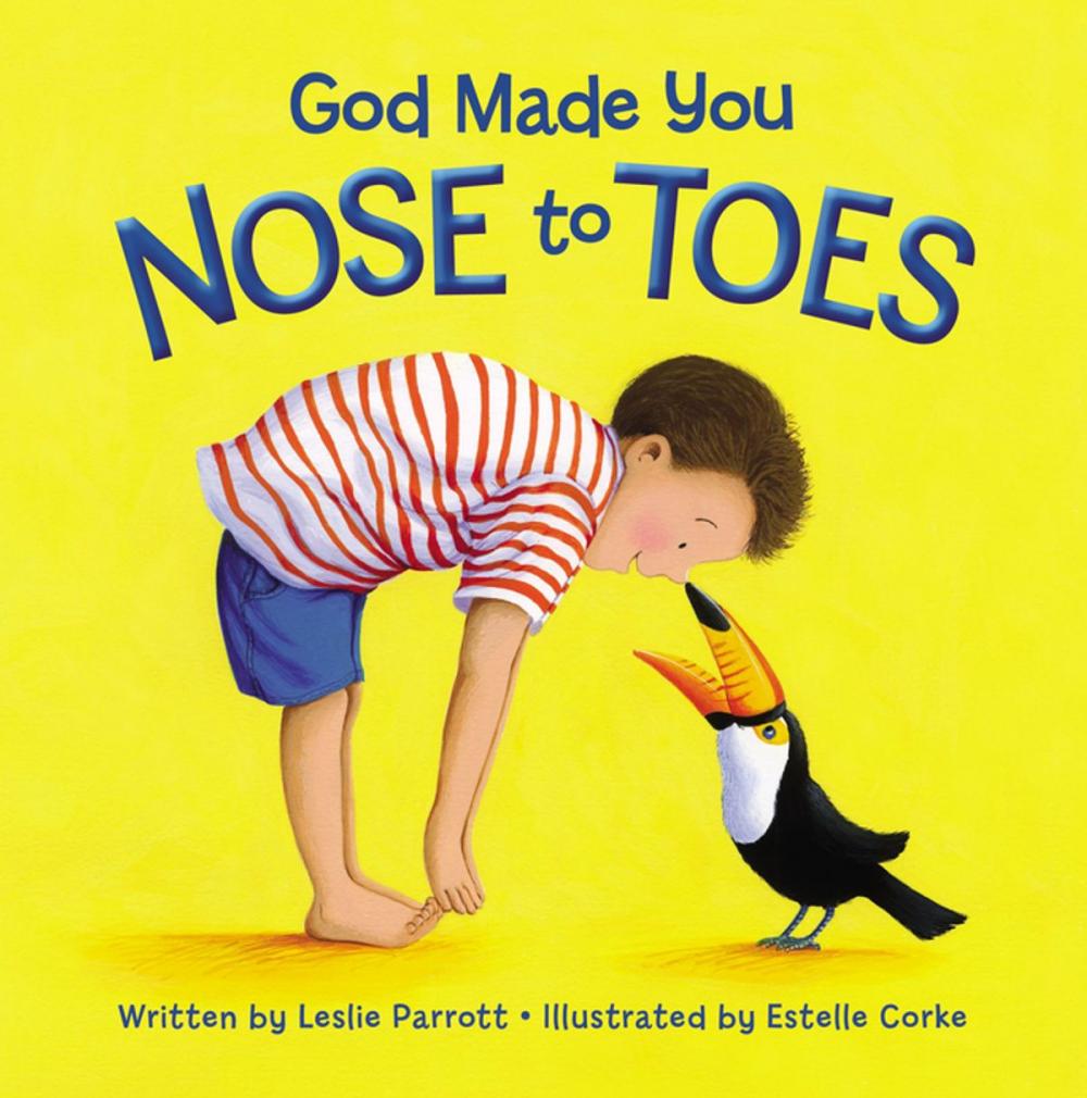 Big bigCover of God Made You Nose to Toes