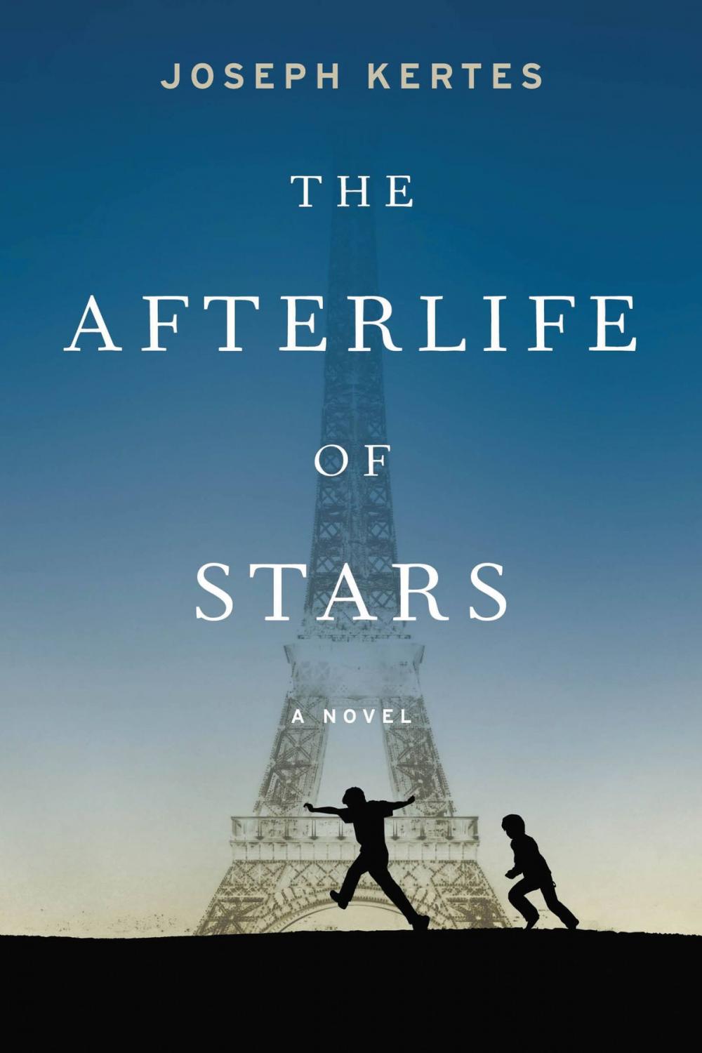 Big bigCover of The Afterlife of Stars