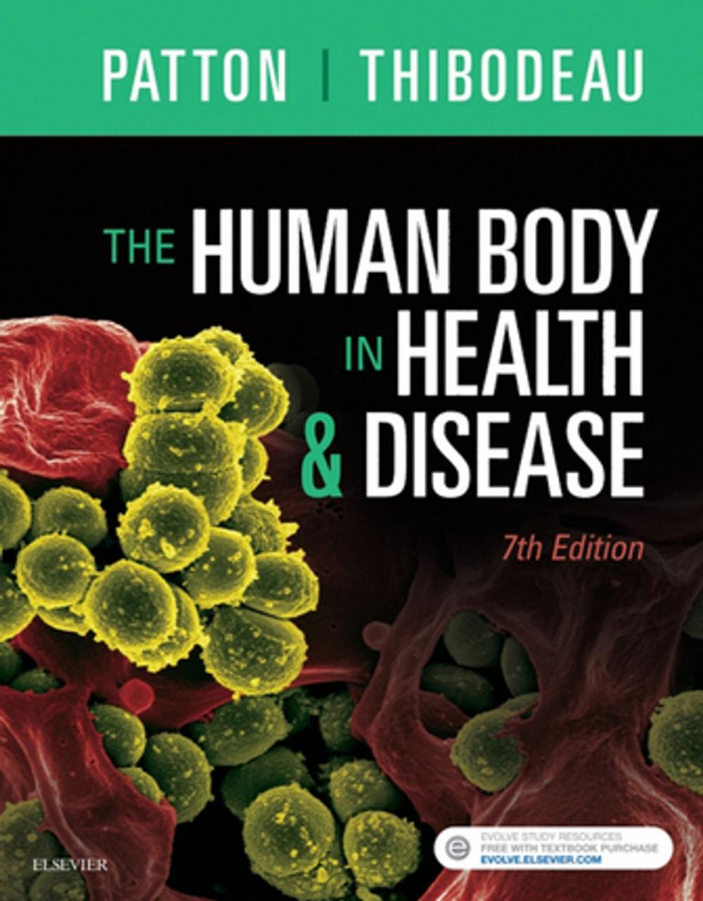 Big bigCover of The Human Body in Health & Disease - E-Book