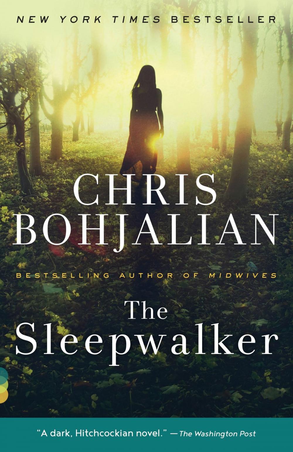 Big bigCover of The Sleepwalker