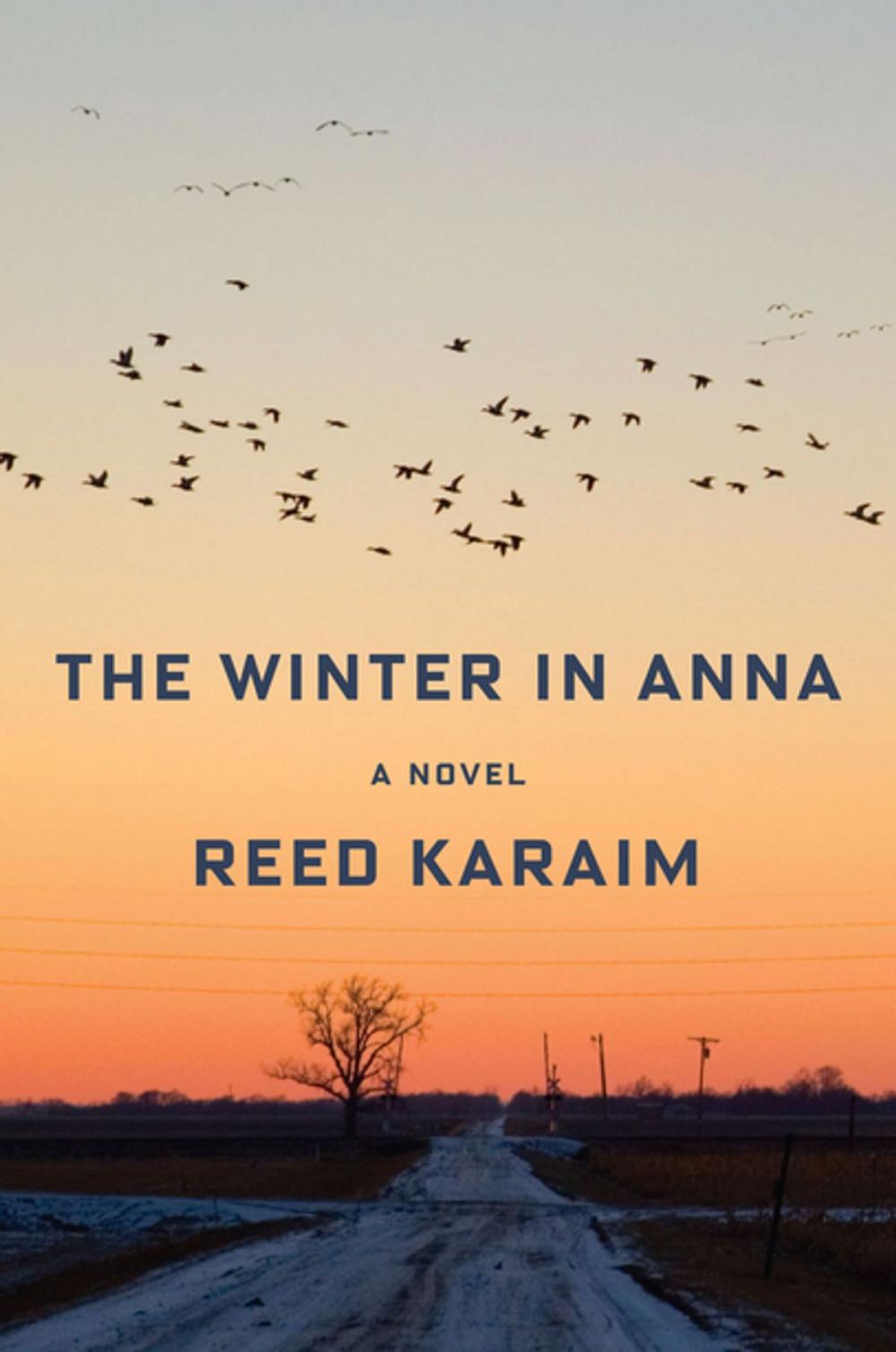 Big bigCover of The Winter in Anna: A Novel