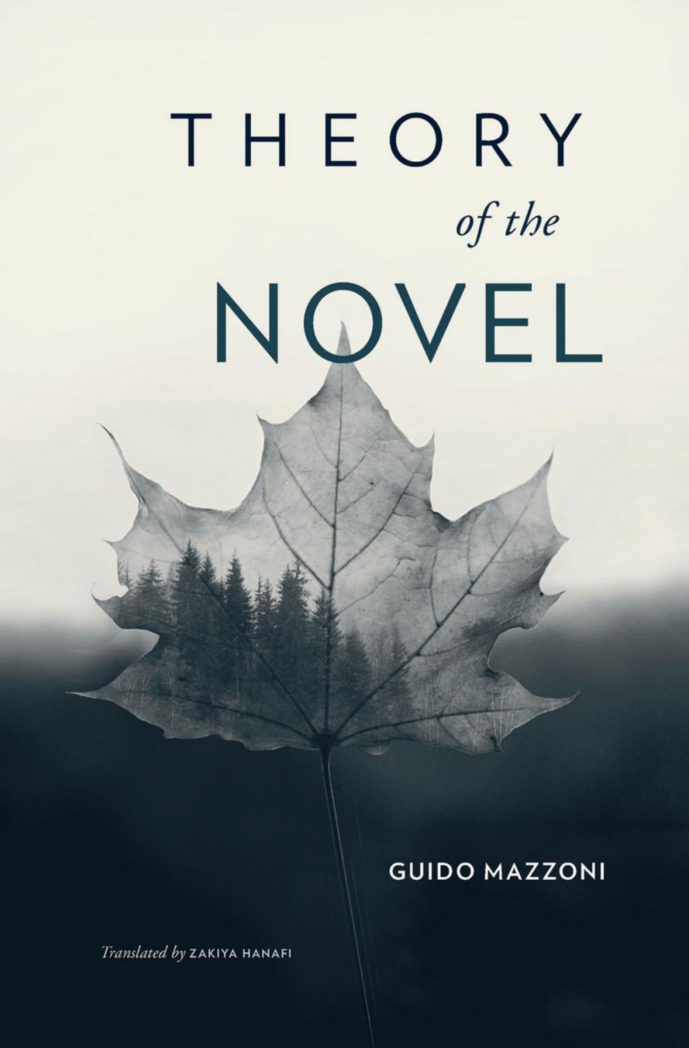 Big bigCover of Theory of the Novel