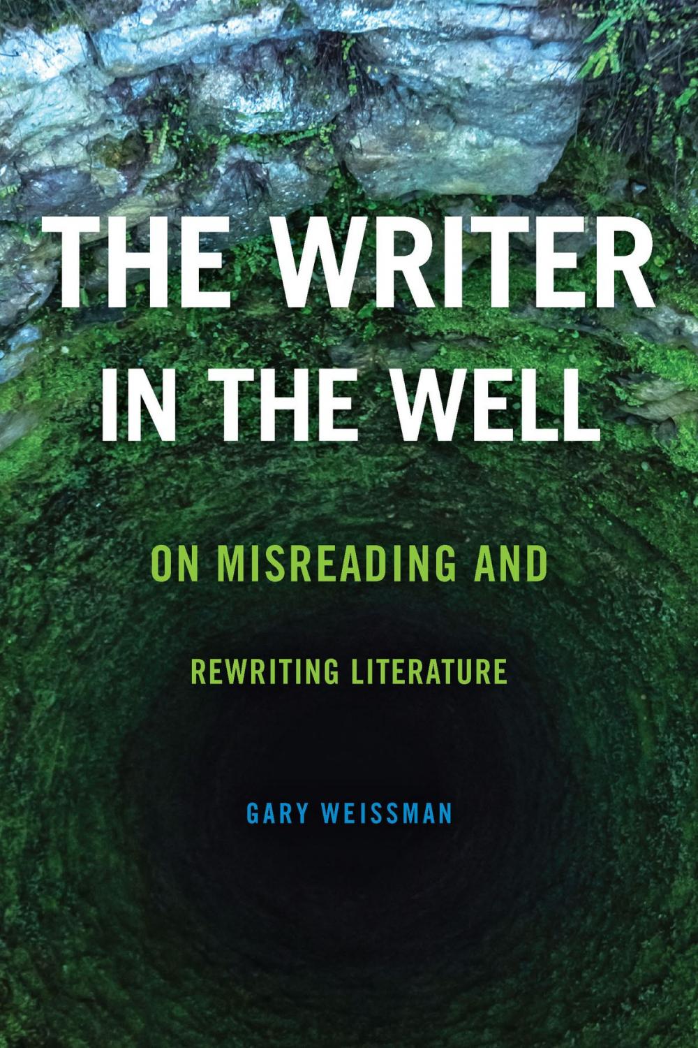 Big bigCover of The Writer in the Well