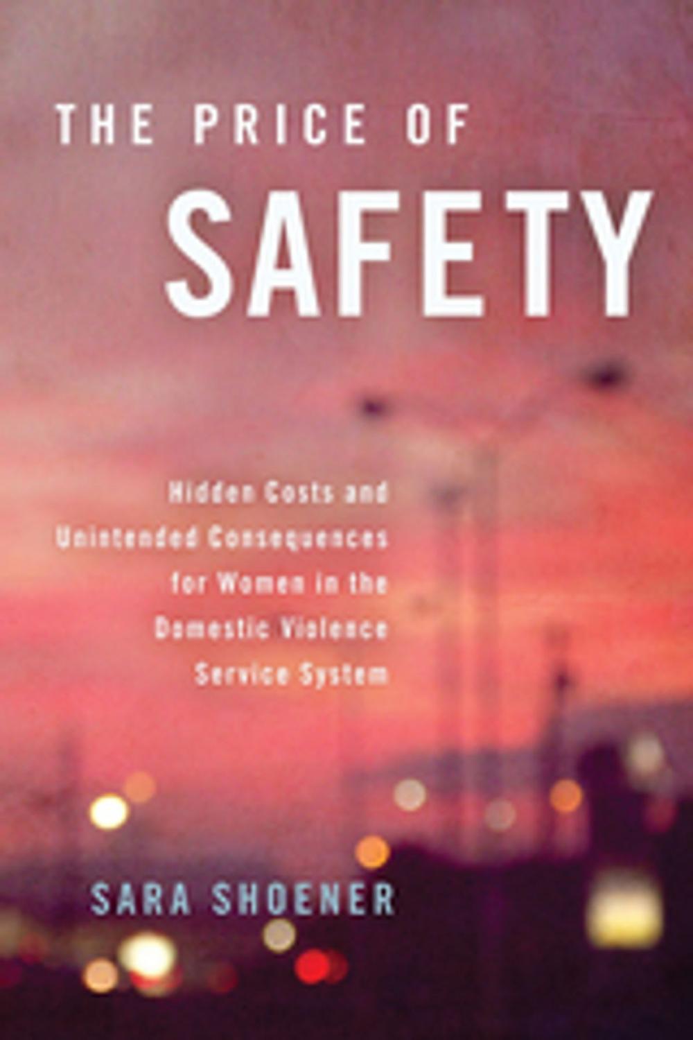 Big bigCover of The Price of Safety