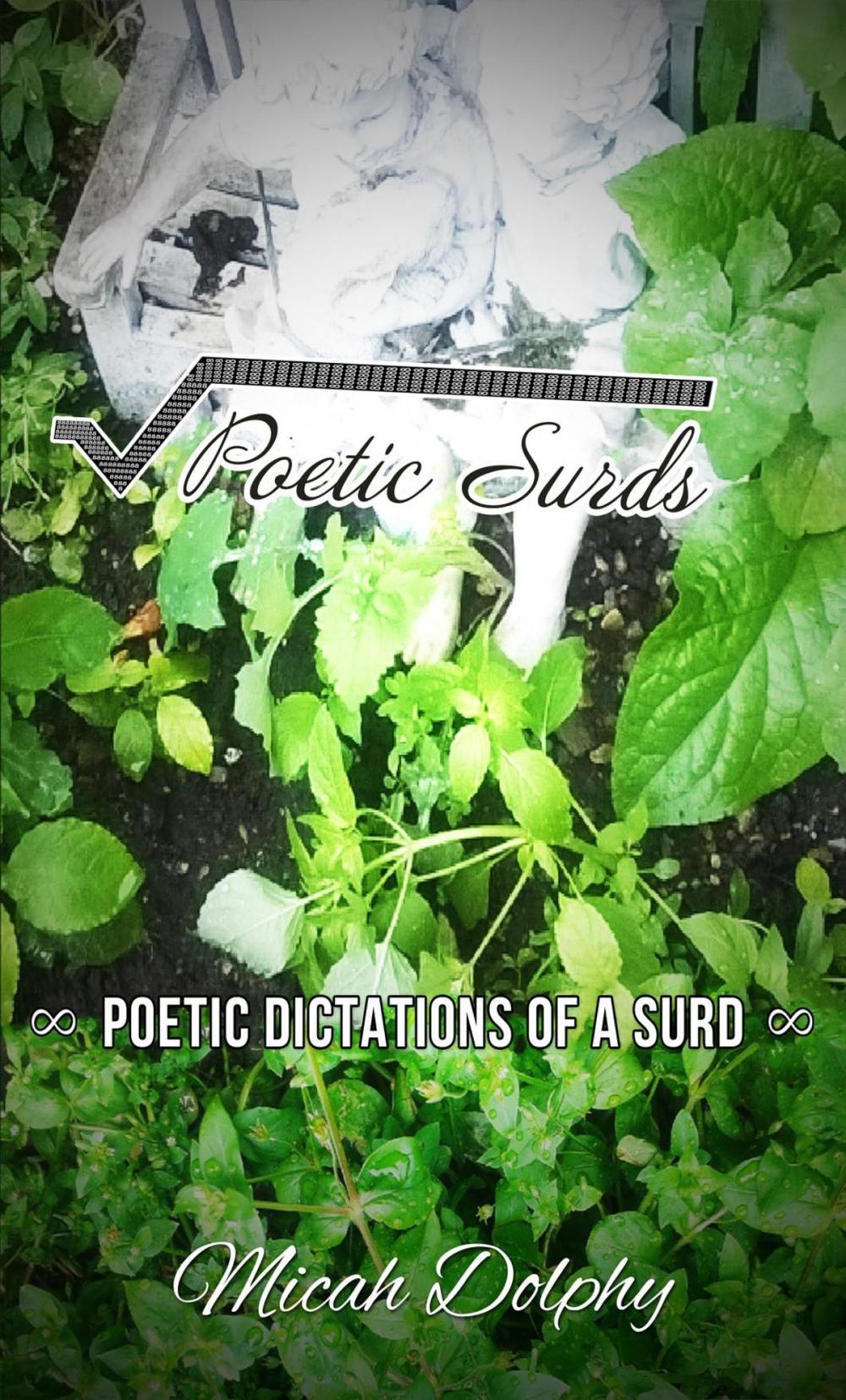 Big bigCover of Poetic Surds