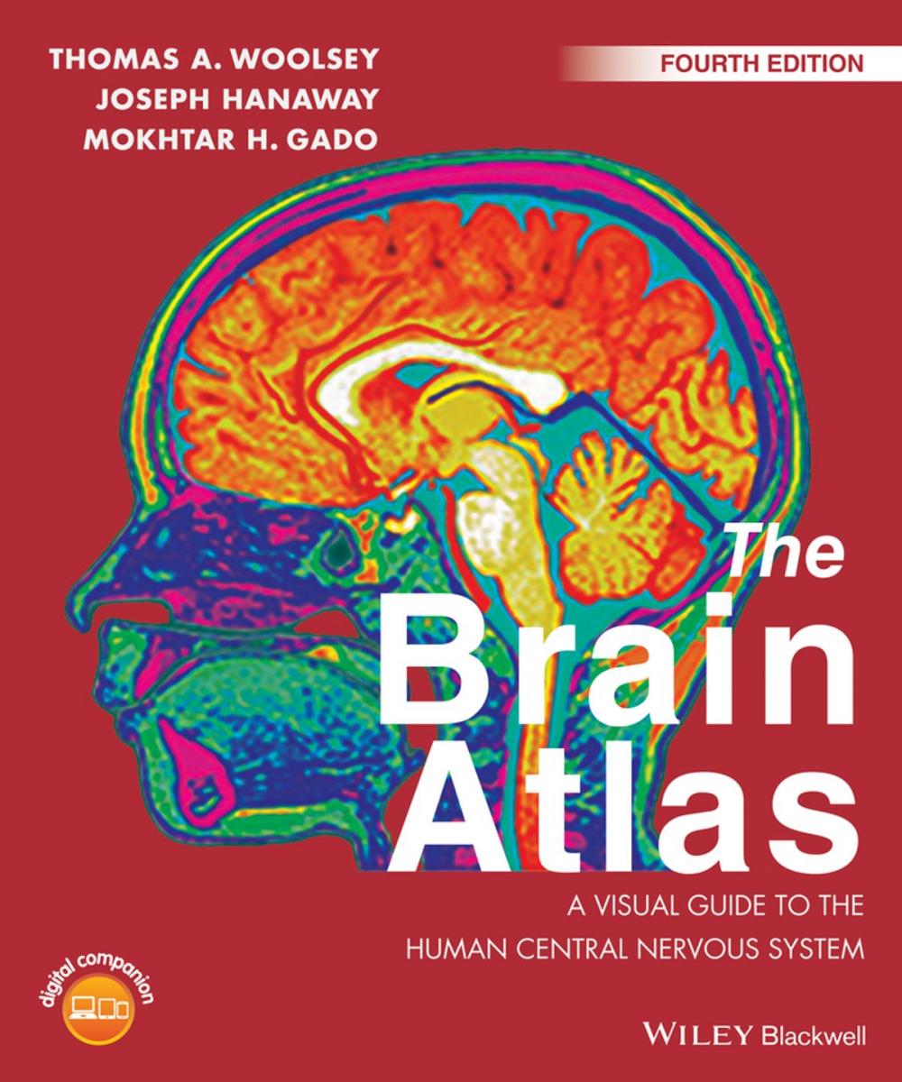 Big bigCover of The Brain Atlas