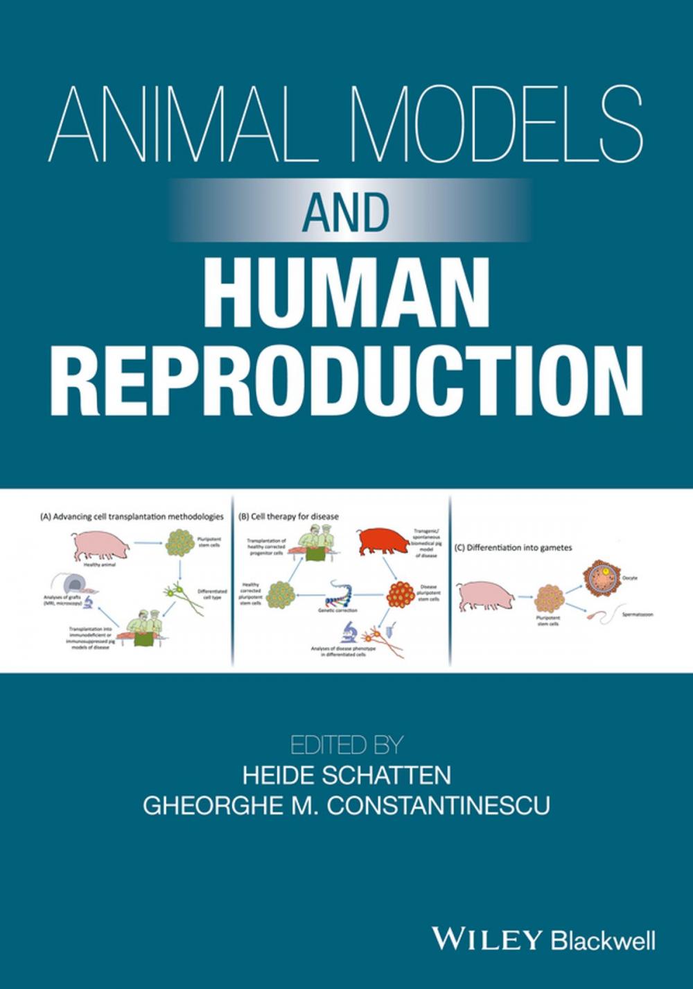 Big bigCover of Animal Models and Human Reproduction