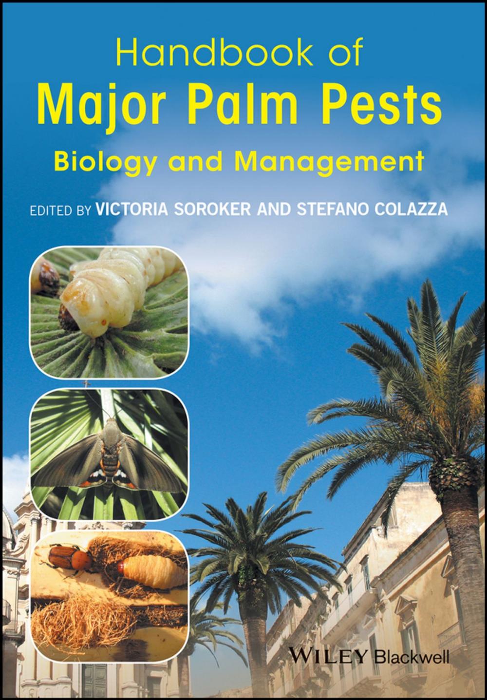 Big bigCover of Handbook of Major Palm Pests