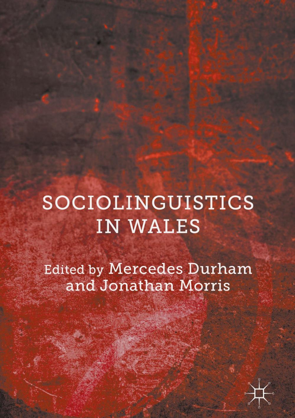 Big bigCover of Sociolinguistics in Wales