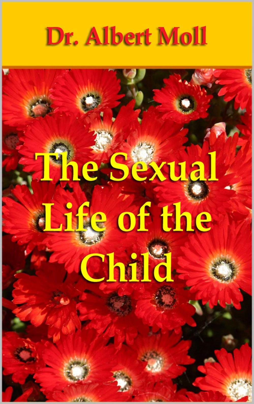 Big bigCover of The Sexual Life of the Child