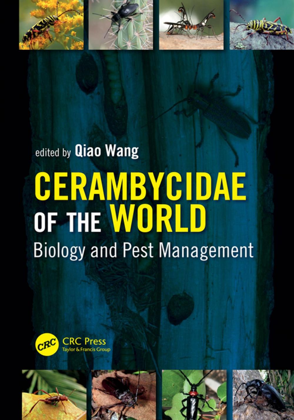 Big bigCover of Cerambycidae of the World