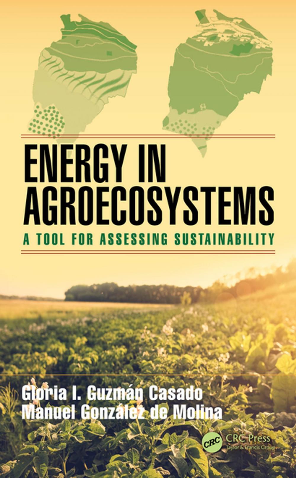 Big bigCover of Energy in Agroecosystems