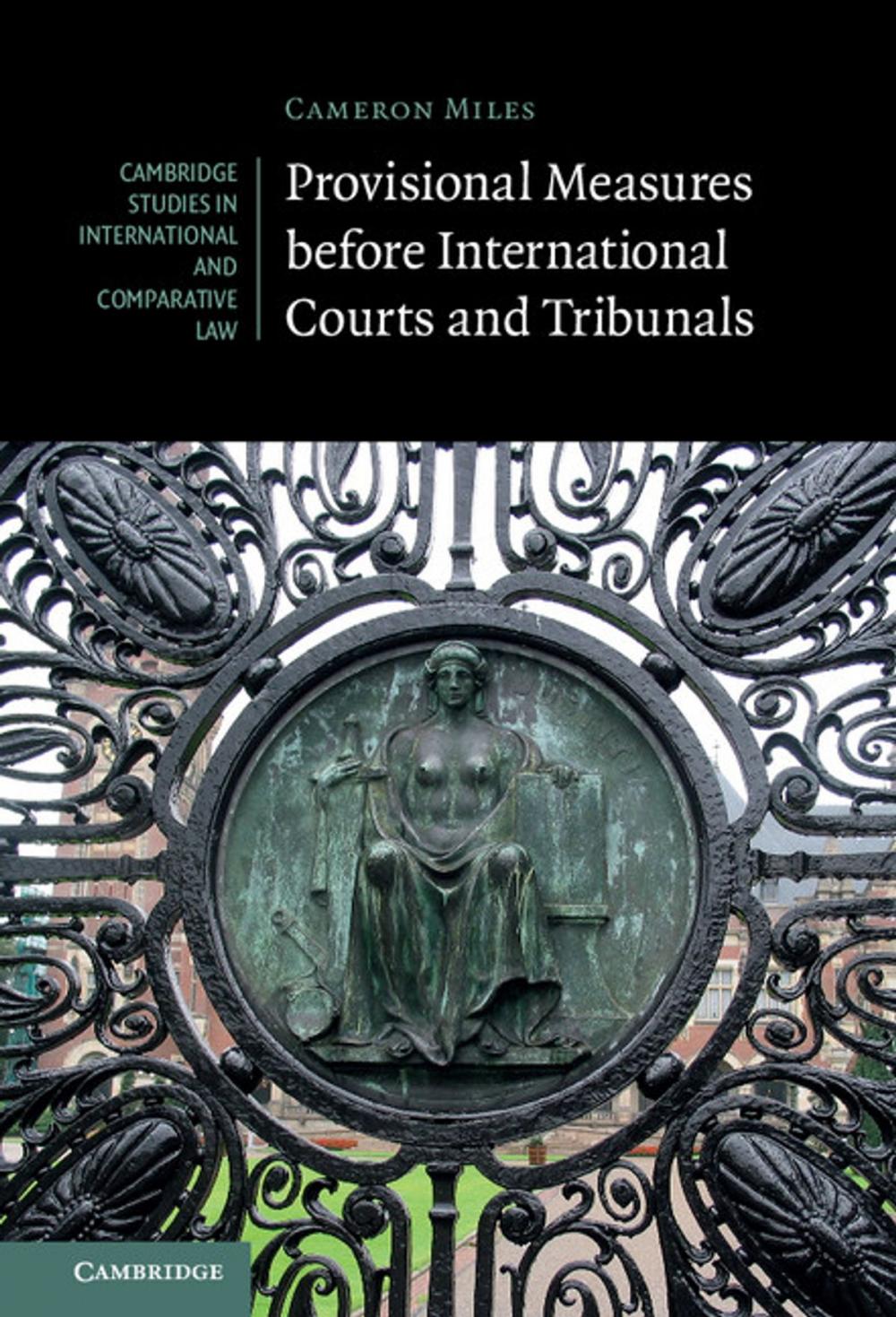 Big bigCover of Provisional Measures before International Courts and Tribunals